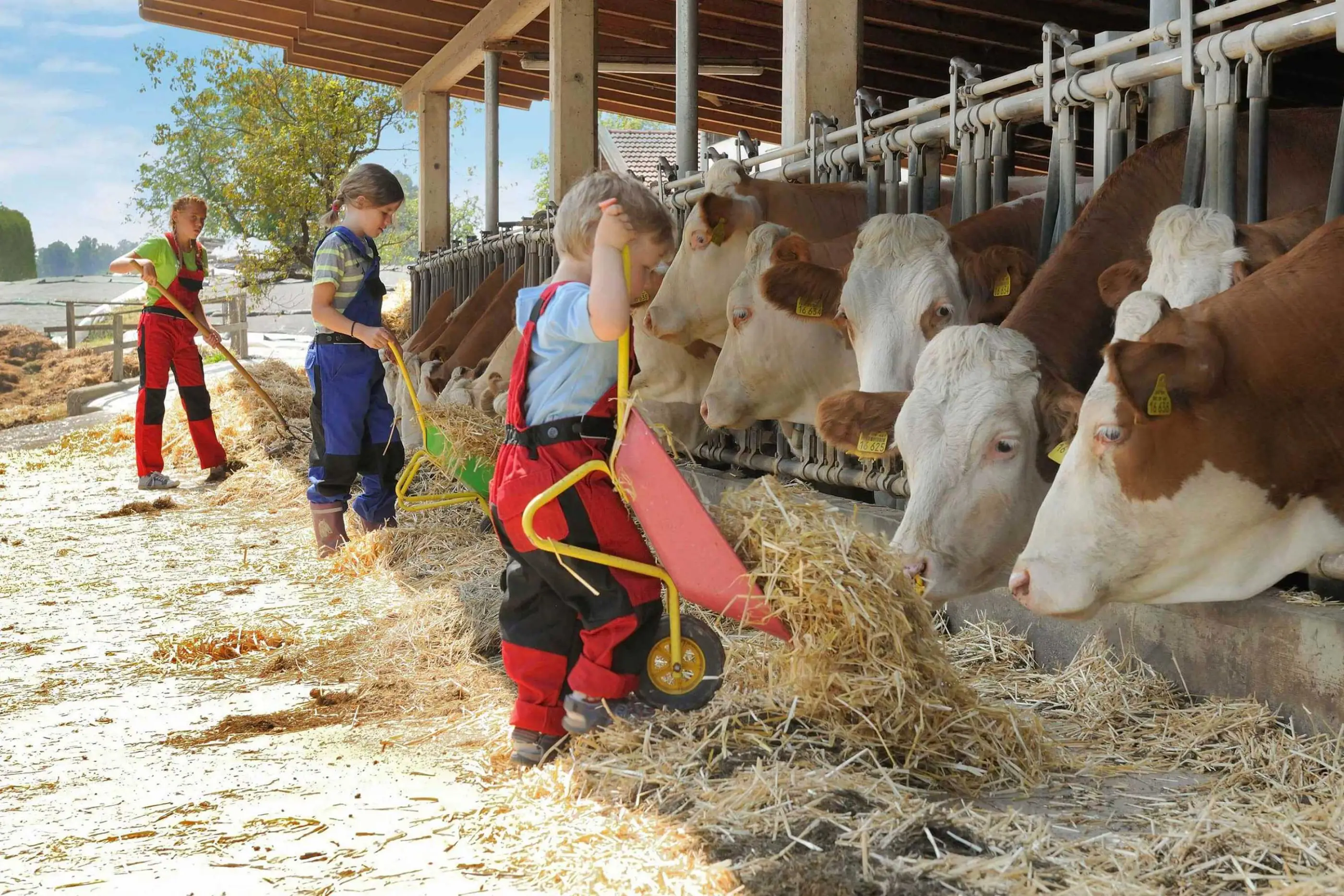 Kinderland Kinderparadies Familienurlaub Luxus Chiemsee Chiemgau