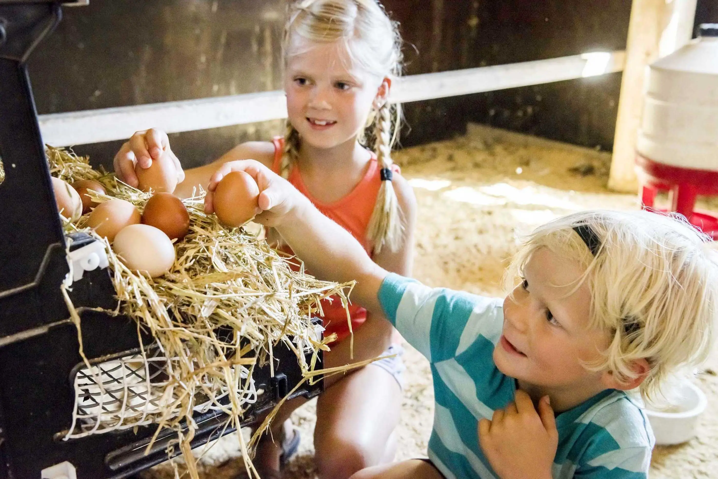 Echtes Bauernhoferlebnis Familienurlaub Kinderland Chiemsee Oberbayern