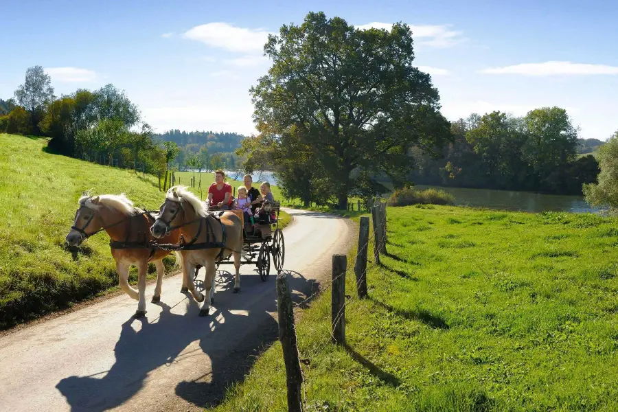 Ponyreiten Reitstunden Alpakas Bergbauernhof