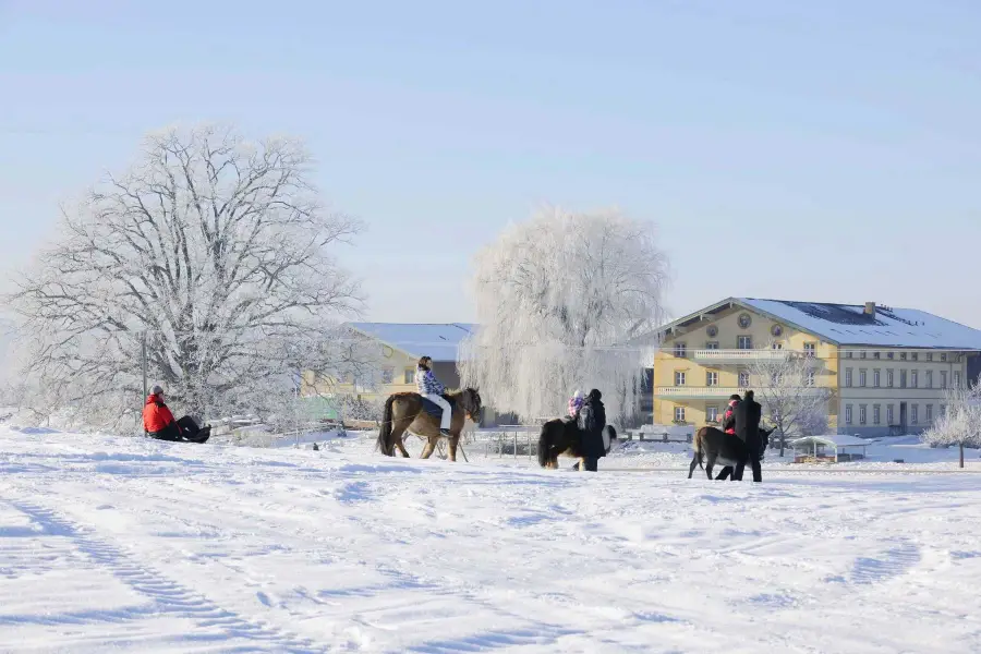 Echtes Landleben Schneespaß Traktorfahrt Heuboden