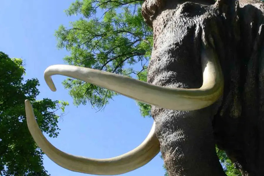 SteinZeitGarten Naturkundemuseum Siegsdorf