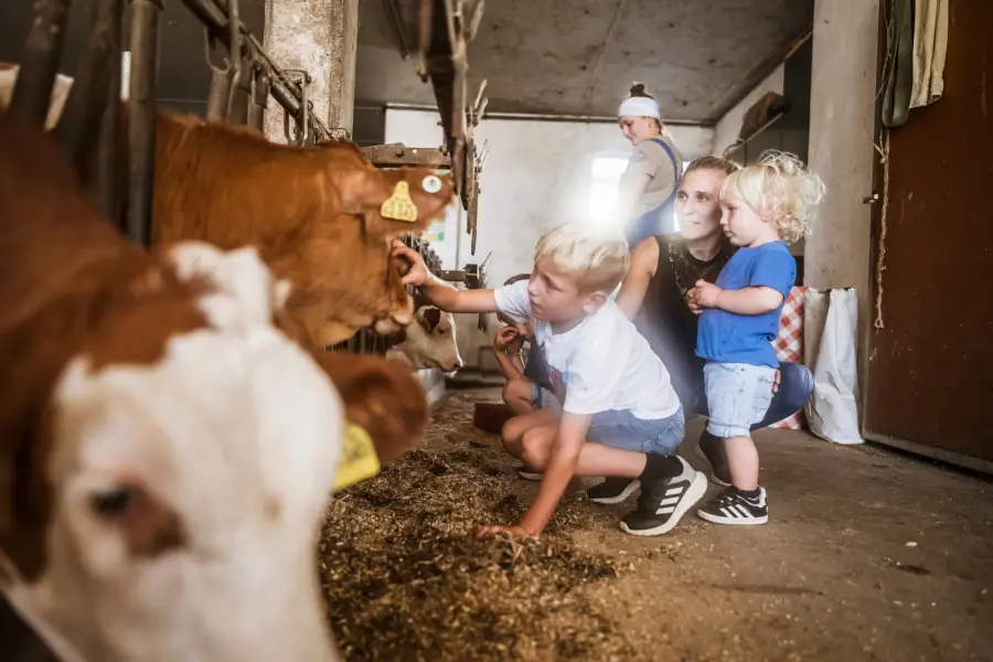 Moierhof Fuhrpark für Kinder