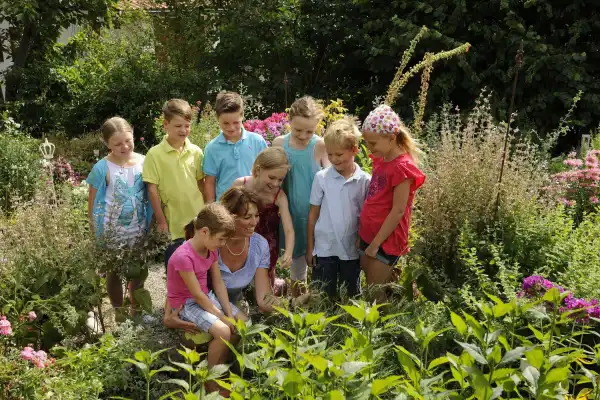 Die Welt der Heilkräuter und Gartenkräuter entdecken