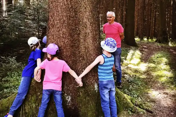 Beim Spaziergang im Wald Wissenswertes über den Wald erfahren